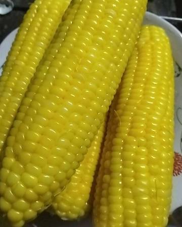  Cara Memasak Jangung Agar Tetap Rendah Kalori