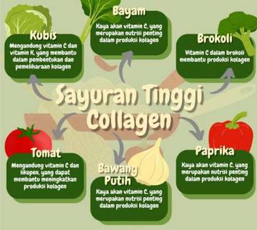 Sayuran yang Mengandung Kolagen Alami