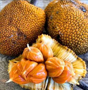 Buah-Buah Raksasa Khas Indonesia