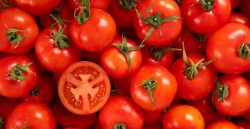 Tomat Buah atau Sayur? Ini Faktanya Menarik