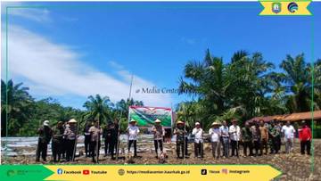 Kabupaten Kaur Sukses Gelar Penanaman Jagung Serentak 