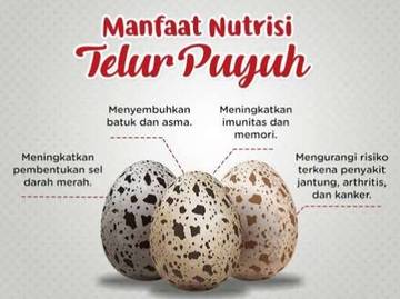 Kecil-Kecil Bernutrisi: Manfaat Telur Puyuh untuk Tubuh