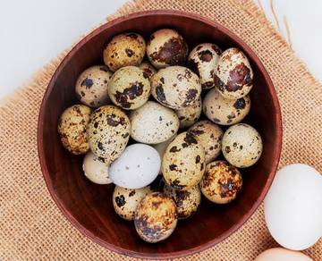 Kenapa Telur Puyuh Bercorak? Ini Penjelasan Ilmiahnya