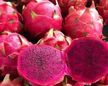 Manfaat Konsumsi Buah Naga Bagi Kesehatan 