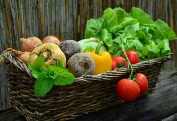 Variasi Resep Sayur Hijau Praktis dan Lezat