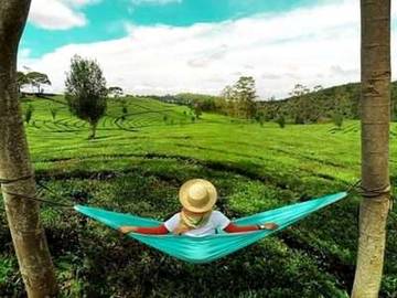 Berwisata ke Kebun Teh Jamus Ngawi.