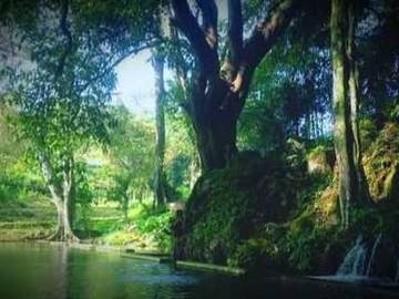 Daya Tarik Wisata Kedung Ngancar Magetan