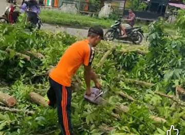 BPBD Bersama DLH Goro Pemakasan Pohon