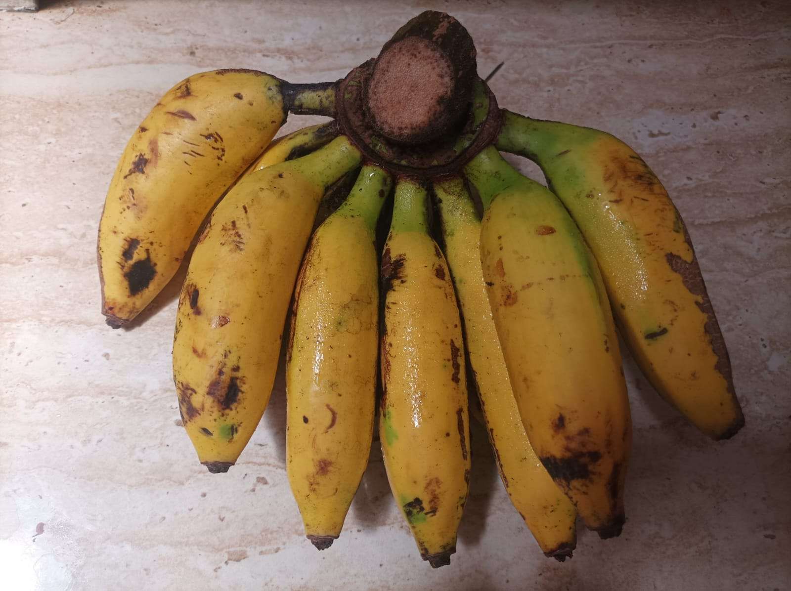 Cara Membuat Camilan Pisang Uli - RRI.co.id