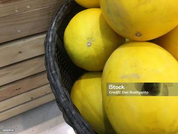Petani Timun Suri Ciranji: Tantangan Cuaca dan Ramadan