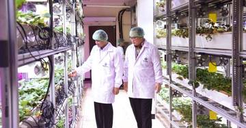 Mentrans Gandeng IPB University Bangun Kawasan Transmigrasi