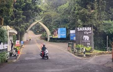 Libur Panjang Waisak, Okupansi Safari Resort Tinggi