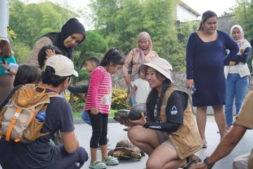 Perayaan Hari Kura Kura Sedunia Di Reptile Island