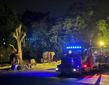 Safari Malam “GLOWTOPIA”, Hadirkan Pengalaman Menarik bagi Wisatawan