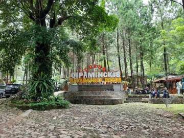 Curug Cipamingkis Pesona Tersembunyi di Timur Kabupaten Bogor