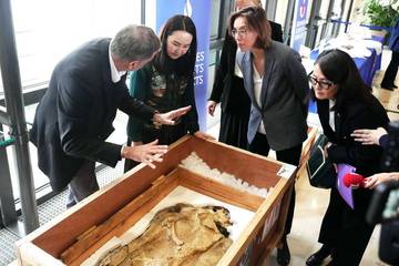 Prancis Pulangkan Fosil Dinosaurus Predator Purba ke Mongolia