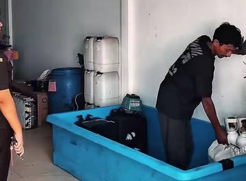 Eksport Puluhan Ribu Bibit Lobster Ilegal Digagalkan 
