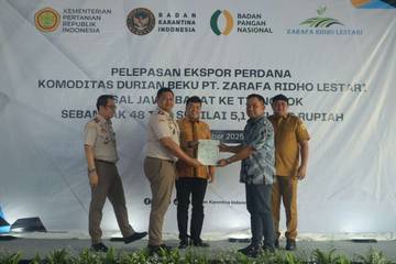 Barantin Lepas Ekspor Durian Bogor Perdana ke Tiongkok