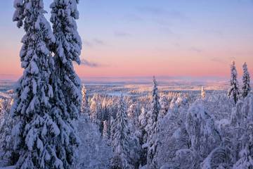 Finlandia: Negara dengan Kualitas Hidup Terbaik di Dunia