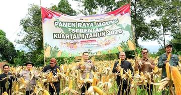 Kabupaten Bogor Panen Jagung Capai 996 Ton