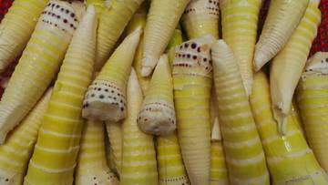 Rebung, Superfood Baru dari Alam