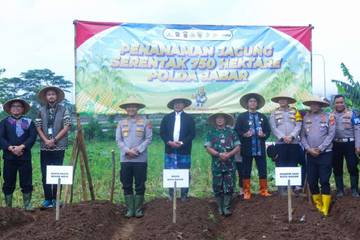 Bogor Terlibat Penanaman Jagung Massal Dukung Ketahanan Pangan