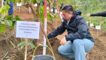 Pemkab Bogor bersama PTPN 1 Regional 2, Melakukan Penanaman Serentak di DAS Ciliwung