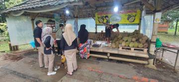Kampung Durian Rancamaya, Surga Durian Premium di Bogor