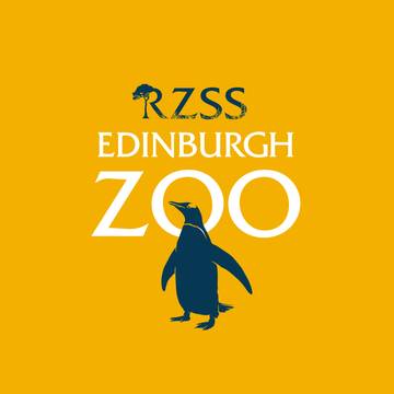 Edinburgh Zoo Hadirkan Live Zoo Online