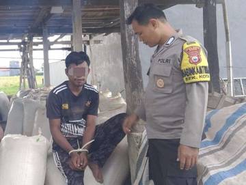  Pria di Watampone Tertangkap Basah Curi Gabah Milik Warga 