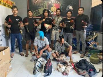 Polres Sinjai Gerebek Sabung Ayam di Tellulimpoe, Dua Orang Ditangkap