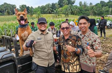 Ratusan Anjing Divaksin di Desa Pongka Bone