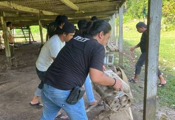 Polres Bone Bongkar Lokasi Diduga Judi Sabung Ayam