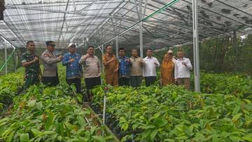 Kementan Menyerahkan Sepuluh Ribu Bibit Kakao ke Pemkab Bone 