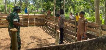 Tripika Bengo Bongkar Lokasi Judi Sabung Ayam