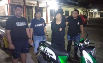 Curi Ayam Bangkok, Pria di Watampone Diamankan Polisi