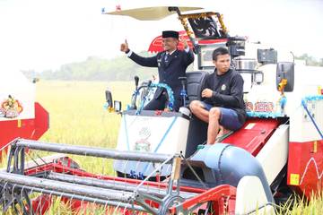Bupati Bone Perkuat Swasembada Lewat Panen Raya