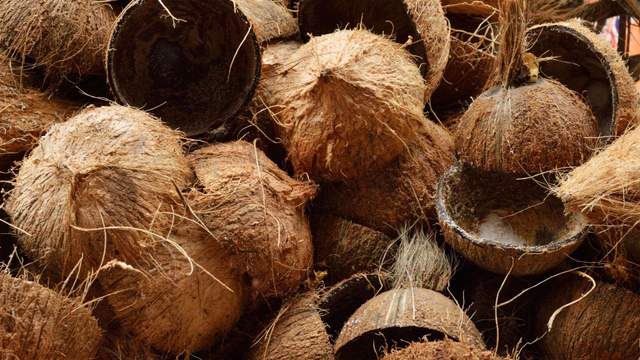 Manfaat dan Fungsi Tempurung Kelapa dalam Kehidupan Sehari-hari