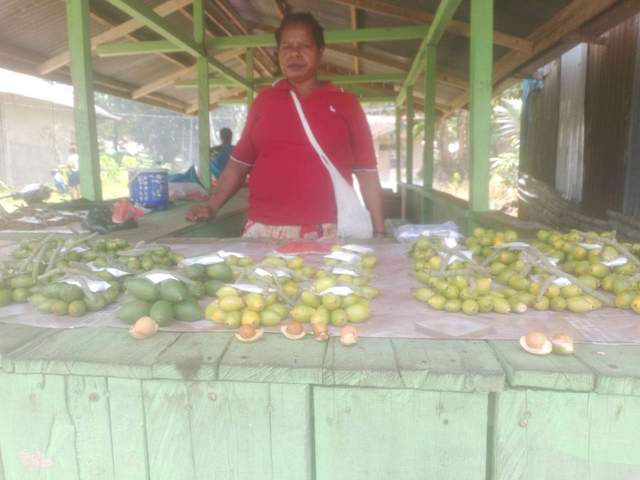 Pinang Jadi Harapan Ekonomi Ibu Rumah Tangga