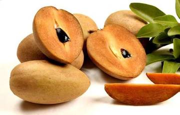 Apakah Buah Sawo Mengandung Gula?
