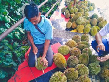 Berbagai Olahan dari Buah Durian