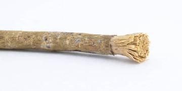 Kayu Siwak dan Manfaatnya.