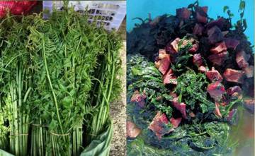 Resep Sayur Pakis Hijau  Segar yang Tetap Hijau