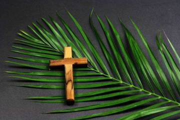 Makna Daun Palma dalam Gereja Katolik