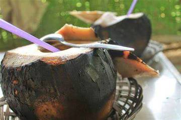 Manfaat dan Khasiat Kelapa Bakar