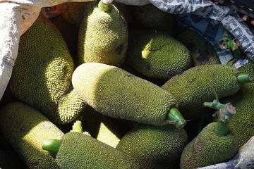 Berbagai Olahan dari Buah Nangka 