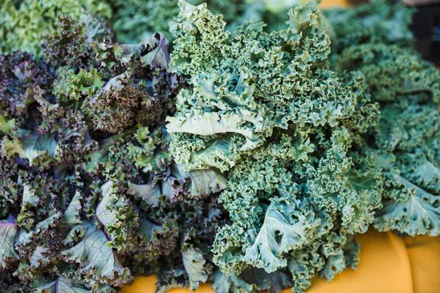 Daun Kale, 