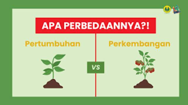 Apakah Pertumbuhan dan Perkembangan itu Sama?