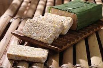 Fakta Menarik Tentang Tempe