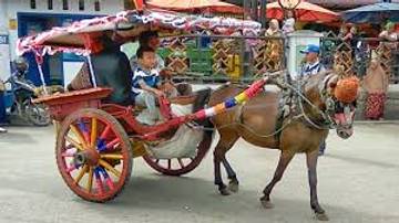 Kilas Balik Alat Transportasi Bendi